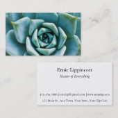 多肉接写 名刺 (正面/裏面)