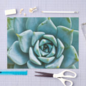 多肉接写 薄葉紙 (クラフト)