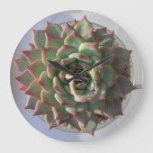 多肉時計 ラージ壁時計 (正面)