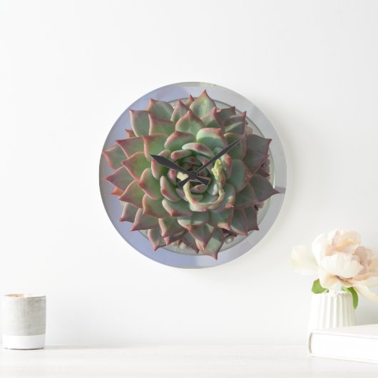 多肉時計 ラージ壁時計 (ホーム)