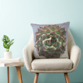 多肉枕 クッション (椅子)