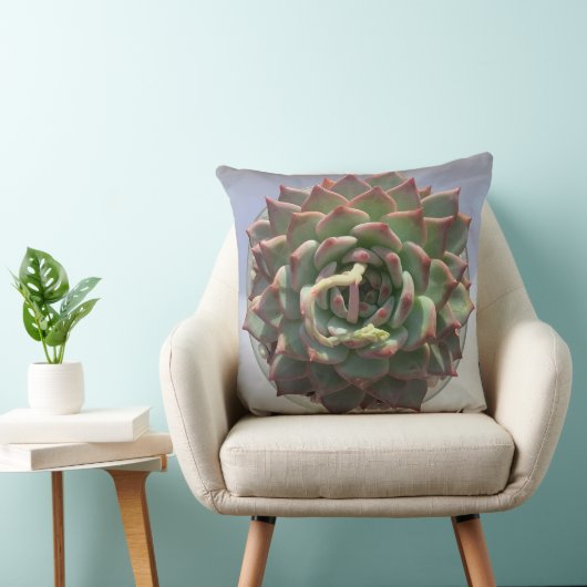 多肉枕 クッション (椅子)