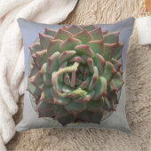 多肉枕 クッション (ブランケット)