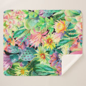 多肉植物とサボテンのガーデンパターン シェルパブランケット (正面(横))