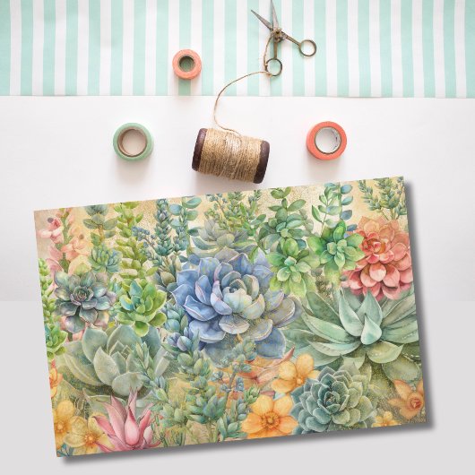多肉植物のバラエティ 薄葉紙