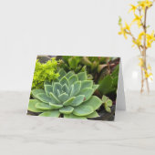 多肉植物の庭 カード (黄色い花)