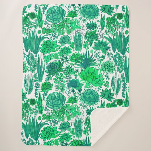 多肉植物の庭 シェルパブランケット (正面)