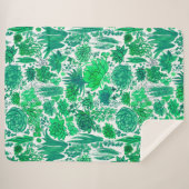 多肉植物の庭 シェルパブランケット (正面(横))