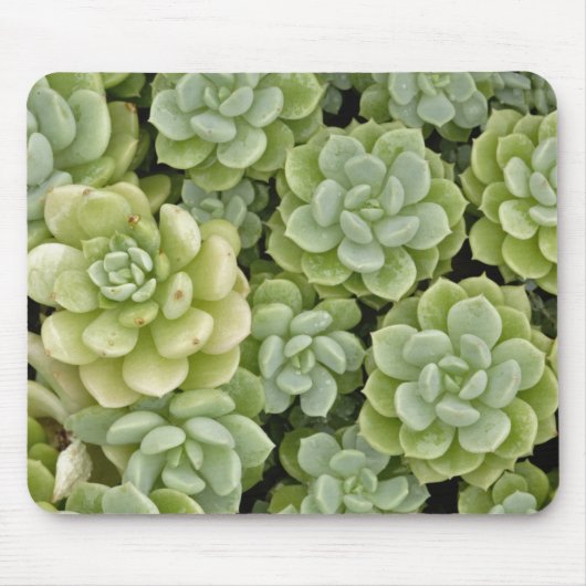 多肉植物の模様 マウスパッド (正面)