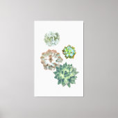 多肉植物の水の色絵画のウォールアート キャンバスプリント (正面)
