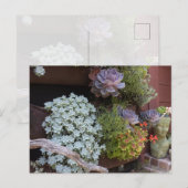 多肉植物の絵葉書 ポストカード (正面/裏面)