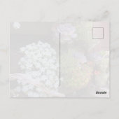 多肉植物の絵葉書 ポストカード (裏面)