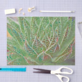 多肉植物の緑のステンドグラスアート 薄葉紙 (クラフト)