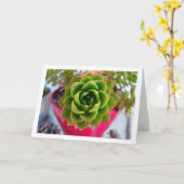 多肉植物の肖像 カード (黄色い花)