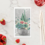 多肉植物の鉢のイラスト (インサイチュ)