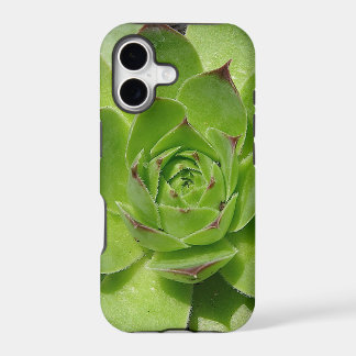 多肉植物のiPhoneケース