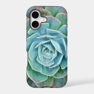 多肉植物のiPhoneケース