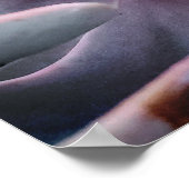 多肉植物アップ近くの自然写真 ポスター (角)