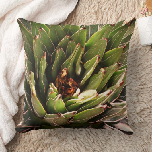 多肉植物アロエ植物写真 クッション (ブランケット)