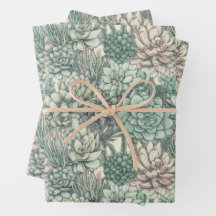 多肉植物グリーンバースデーパーティー