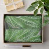 多肉植物グリーンボタニカルデクページ 薄葉紙 (ギフト)