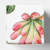 多肉植物パーティー フェイバーボックス (上部)