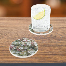 多肉植物フローラ コースター