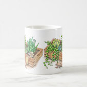 多肉植物プランターボックス コーヒーマグカップ (中央)
