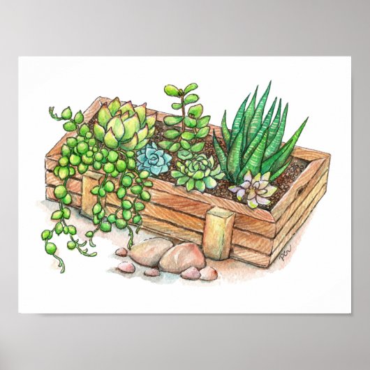 多肉植物プランターボックス ポスター (正面)