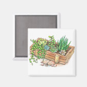 多肉植物プランターボックス マグネット (正面/裏面)