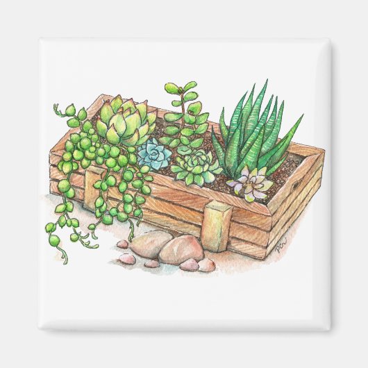 多肉植物プランターボックス マグネット (正面)