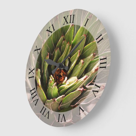 多肉植物写真 ラージ壁時計 (傾斜)