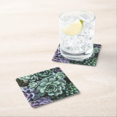 多肉植物自然 スクエアペーパーコースター (インサイチュ)