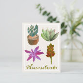 多肉植物色鉛筆スケッチ葉書 ポストカード (スタンド正面)