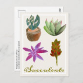多肉植物色鉛筆スケッチ葉書 ポストカード (正面/裏面)