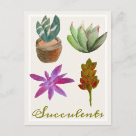 多肉植物色鉛筆スケッチ葉書 ポストカード