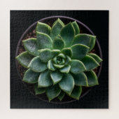 多肉植物  ジグソーパズル (横)