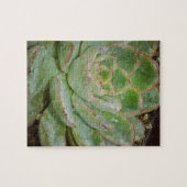 多肉植物 ジグソーパズル (横)