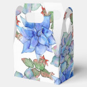 多肉植物 フェイバーボックス (オープン)