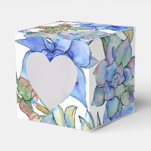 多肉植物 フェイバーボックス (正面サイド)