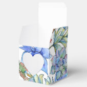 多肉植物 フェイバーボックス (オープン)