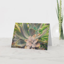 多肉植物, 母の日 カード