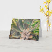 多肉植物, 母の日 カード (黄色い花)