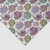 多肉植物 薄葉紙 (詳細)