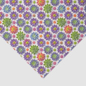 多肉植物 薄葉紙 (詳細)