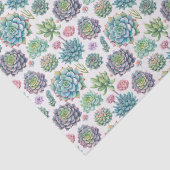 多肉植物 薄葉紙 (詳細)