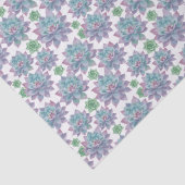 多肉植物 薄葉紙 (詳細)