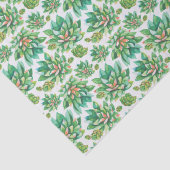 多肉植物 薄葉紙 (詳細)