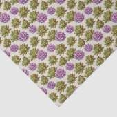 多肉植物 薄葉紙 (詳細)