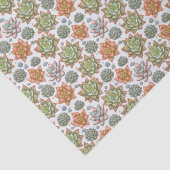 多肉植物 薄葉紙 (詳細)